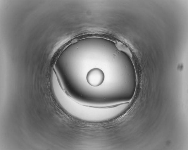 X0000093591261200710291114