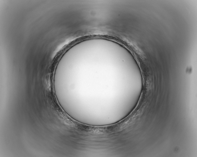 X0000093591262200710291114