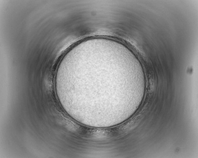 X0000093591266200710291114