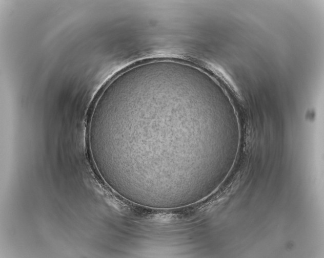 X0000093591268200710291114