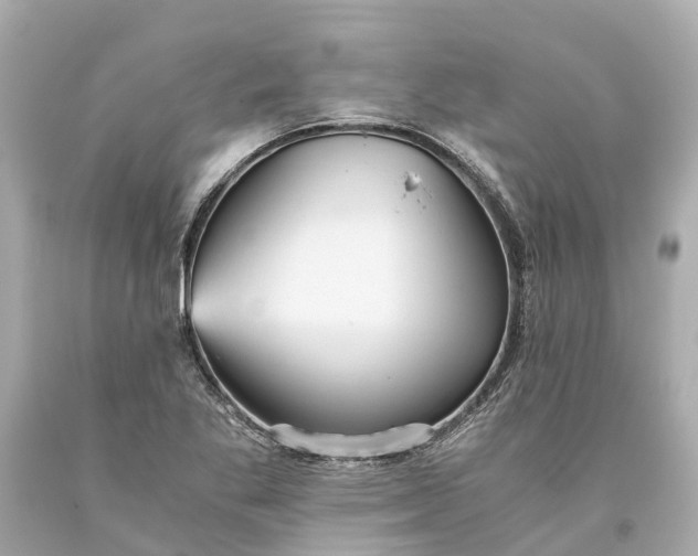 X0000093591269200710291114