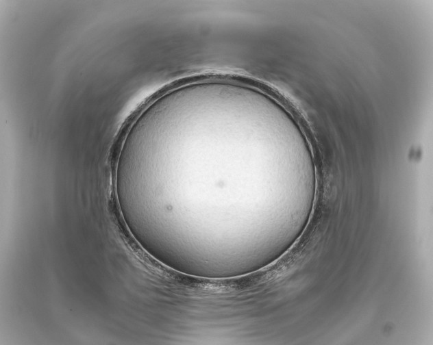 X0000093591271200710291114