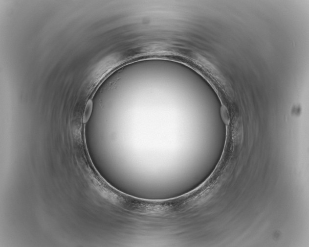 X0000093591273200710291114