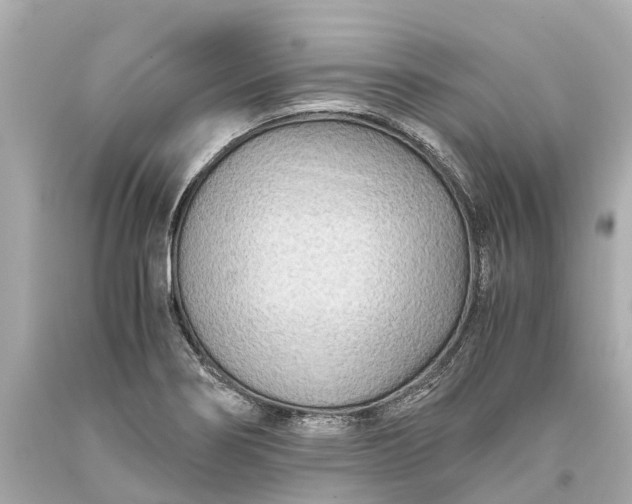 X0000093591274200710291114