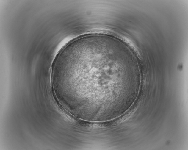 X0000093591275200710291114