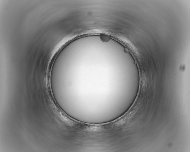 X0000093591278200710291114