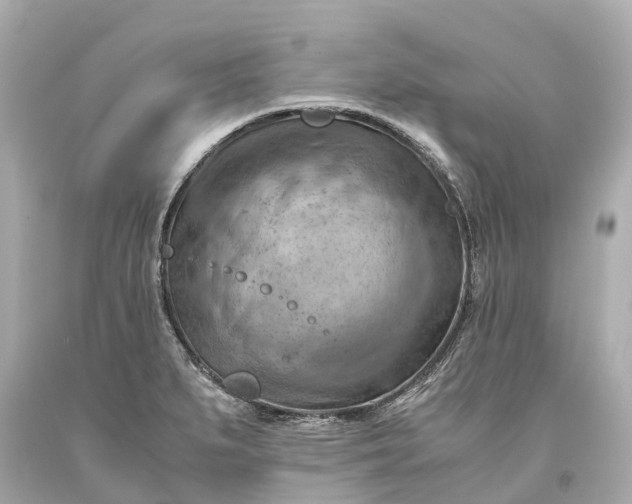 X0000093591279200710291114