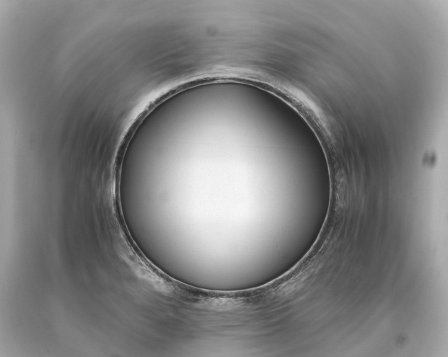 X0000093591280200710291114