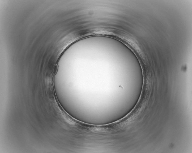 X0000093591281200710291114