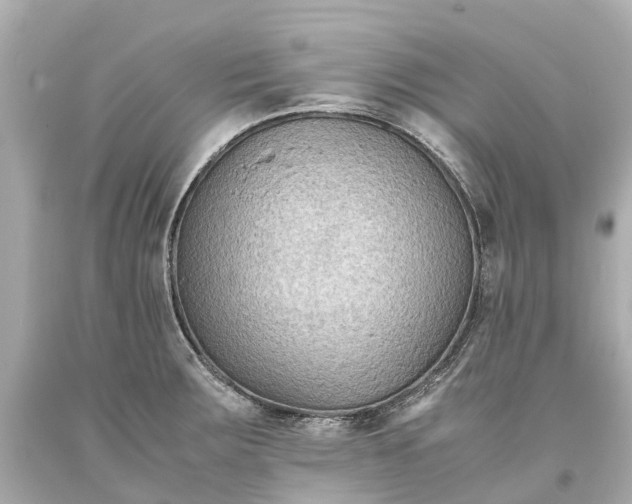 X0000093591283200710291114