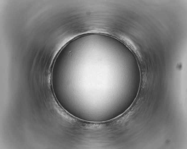 X0000093591284200710291114
