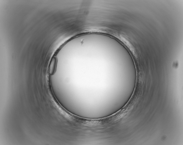 X0000093591285200710291114