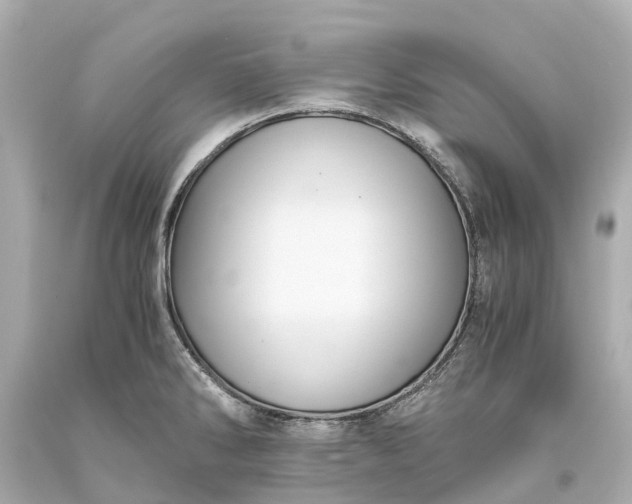 X0000093591286200710291114