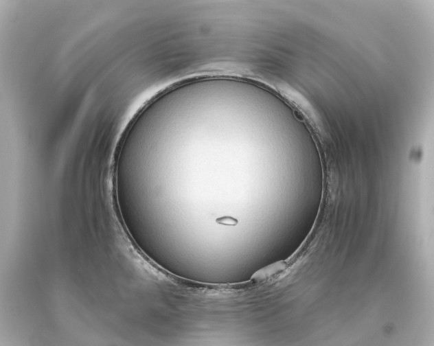 X0000093591288200710291114