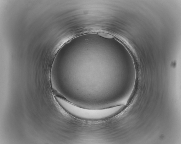 X0000093591289200710291114