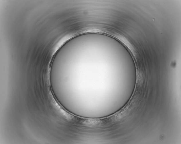 X0000093591290200710291114