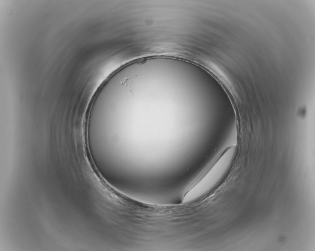 X0000093591291200710291114