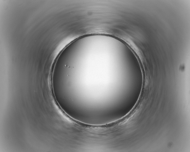 X0000093591293200710291114