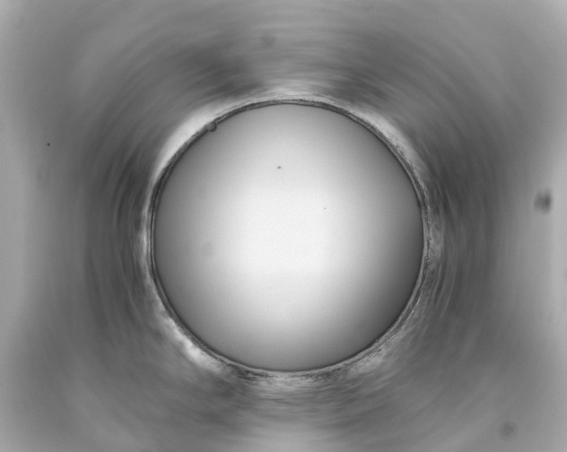 X0000093591294200710291114