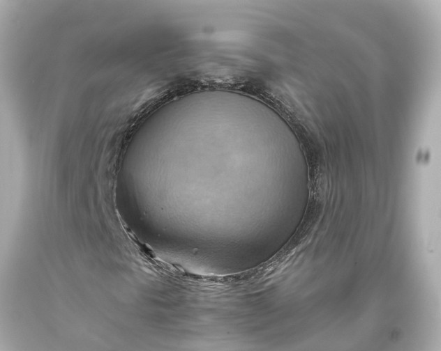 X0000093591297200710291113