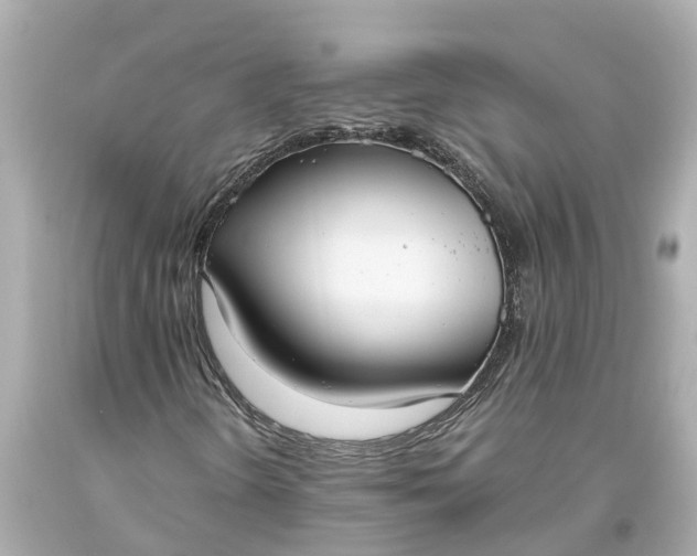 X0000093591298200710291113