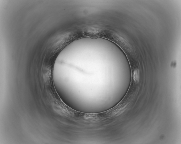 X0000093591299200710291113