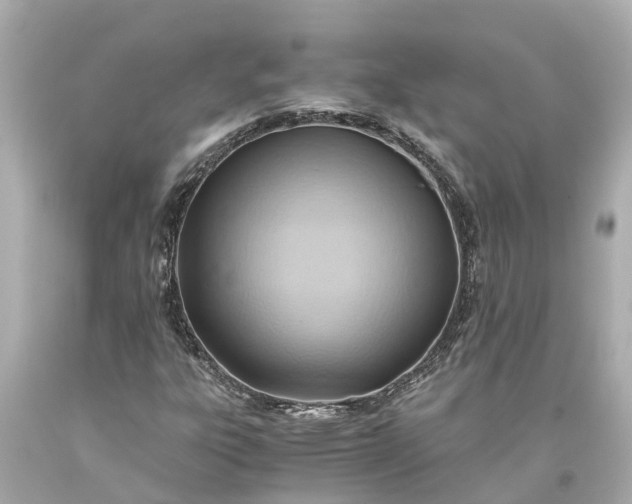 X0000093591303200710291113