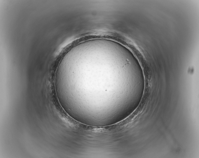 X0000093591304200710291113