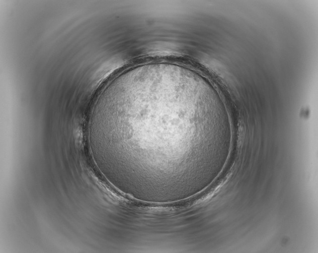 X0000093591305200710291113
