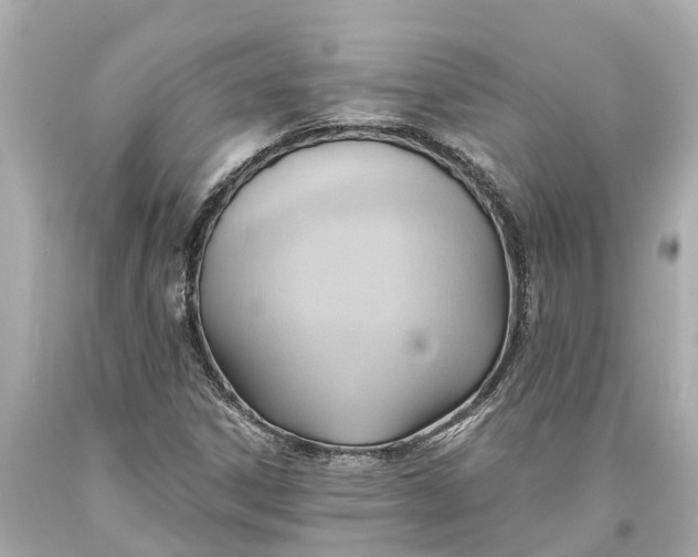 X0000093591306200710291113