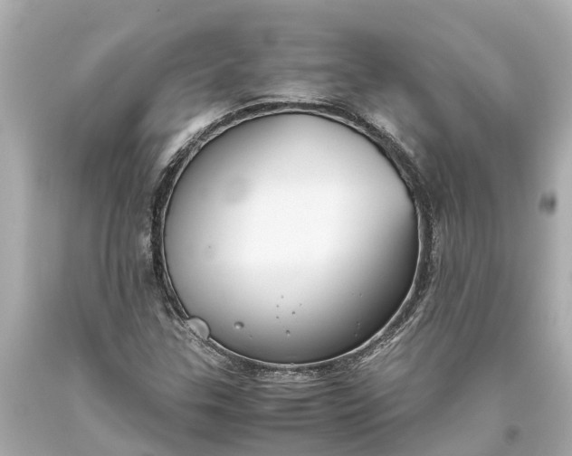 X0000093591307200710291114