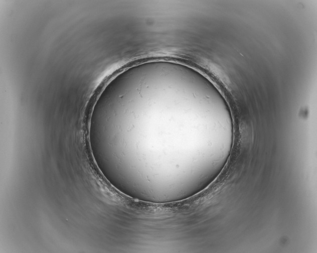 X0000093591308200710291114