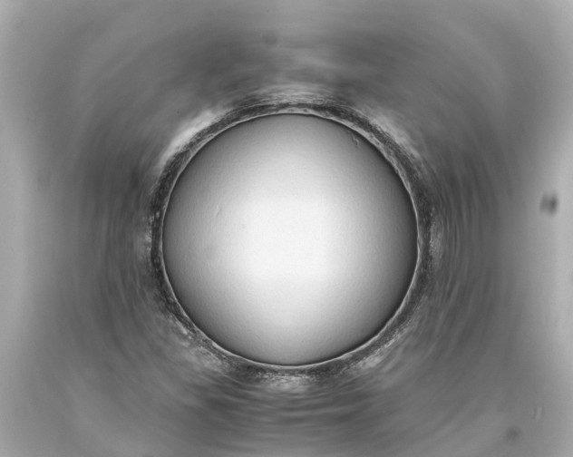 X0000093591309200710291114