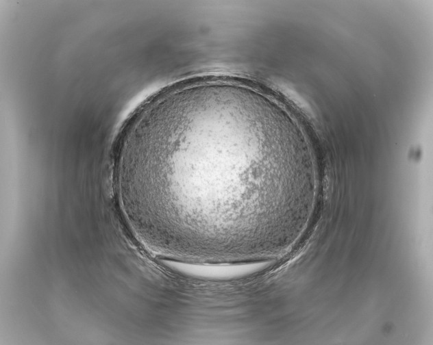 X0000093591310200710291114