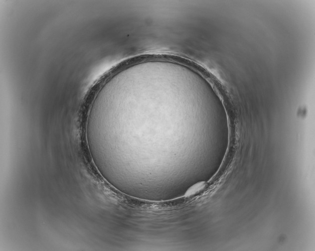 X0000093591311200710291114