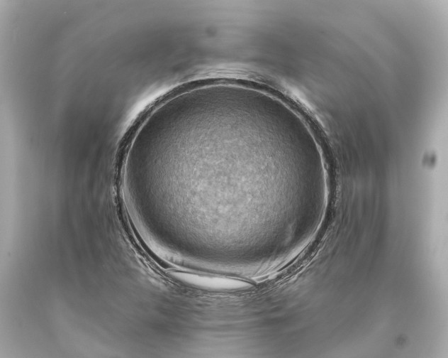X0000093591312200710291114