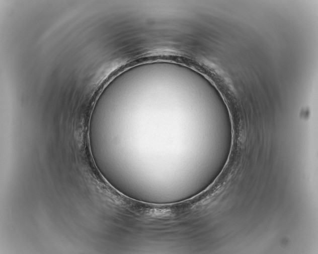 X0000093591313200710291114