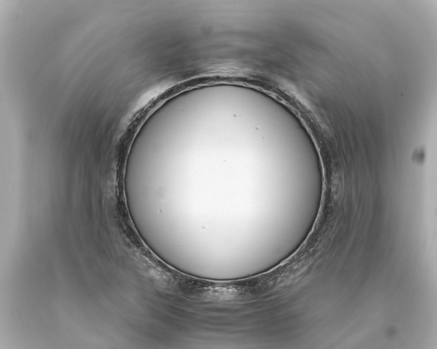 X0000093591315200710291114