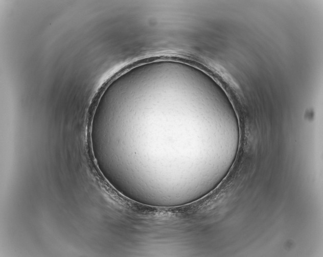 X0000093591316200710291114