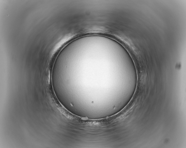 X0000093591317200710291114