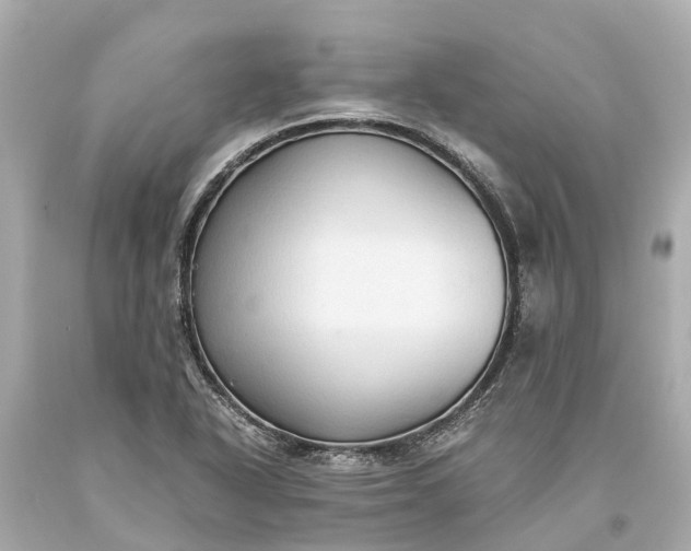 X0000093591318200710291114