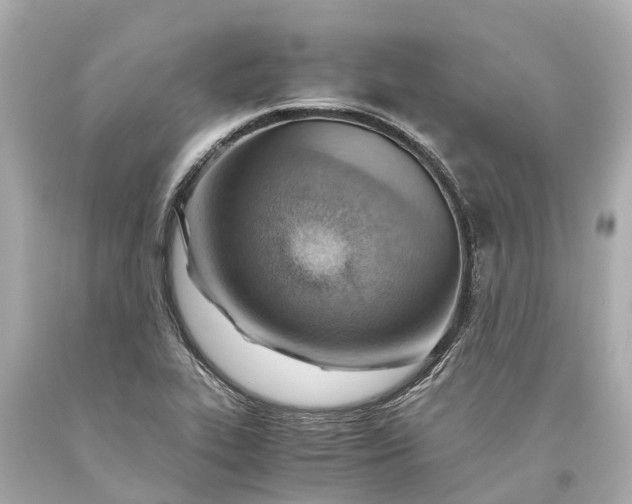 X0000093591319200710291114