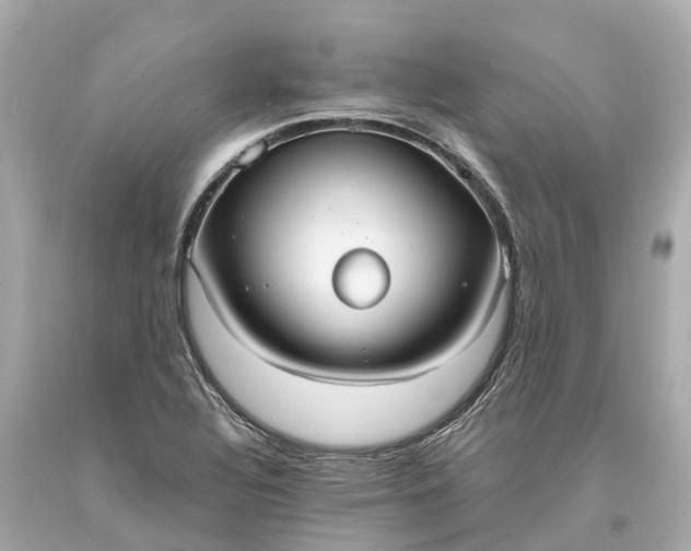 X0000093591320200710291114