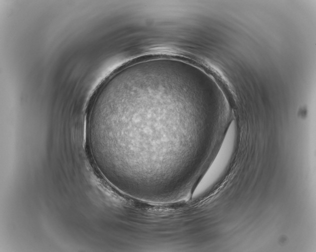 X0000093591323200710291114