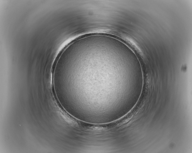 X0000093591324200710291114