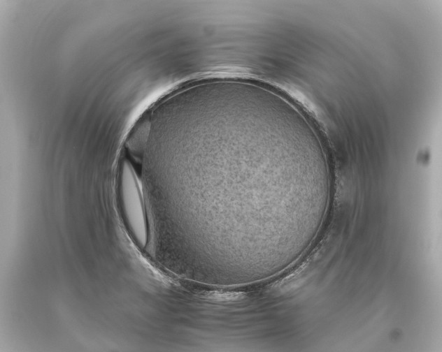 X0000093591325200710291114