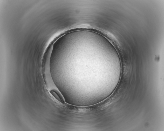 X0000093591326200710291114