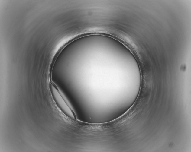 X0000093591328200710291114