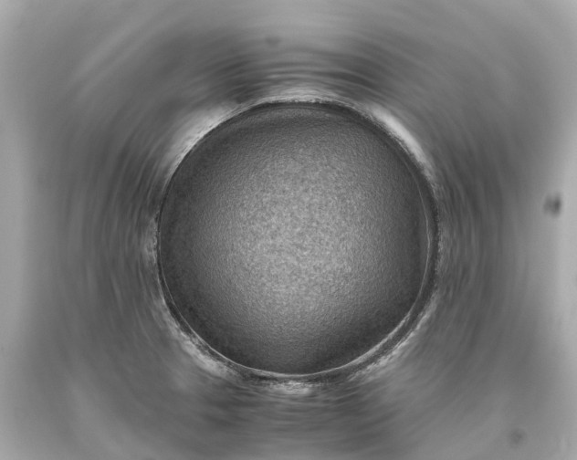 X0000093591329200710291114