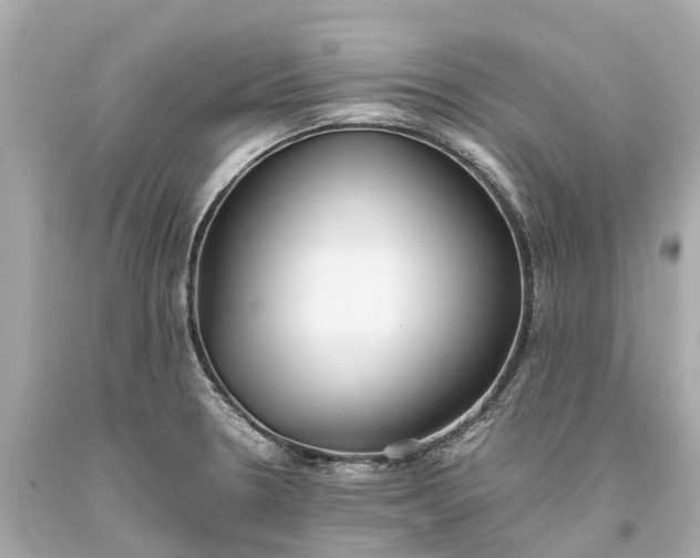 X0000093591330200710291114